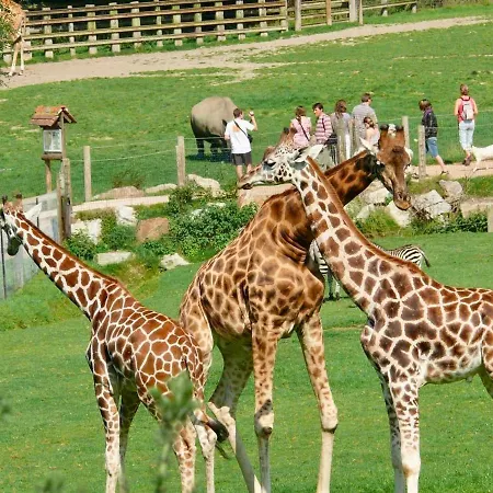 Le Freya Avec Terrasse A 5 Min Honfleur - Piscine - Parking - Wifi *