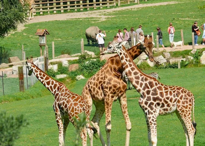 Le Freya Avec Terrasse A 5 Min Honfleur - Piscine - Parking - Wifi *